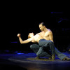 International Tango Festival Berlin 2007